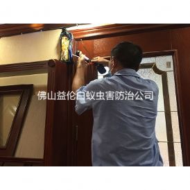 高明碧桂园凤凰城酒店白蚁防治